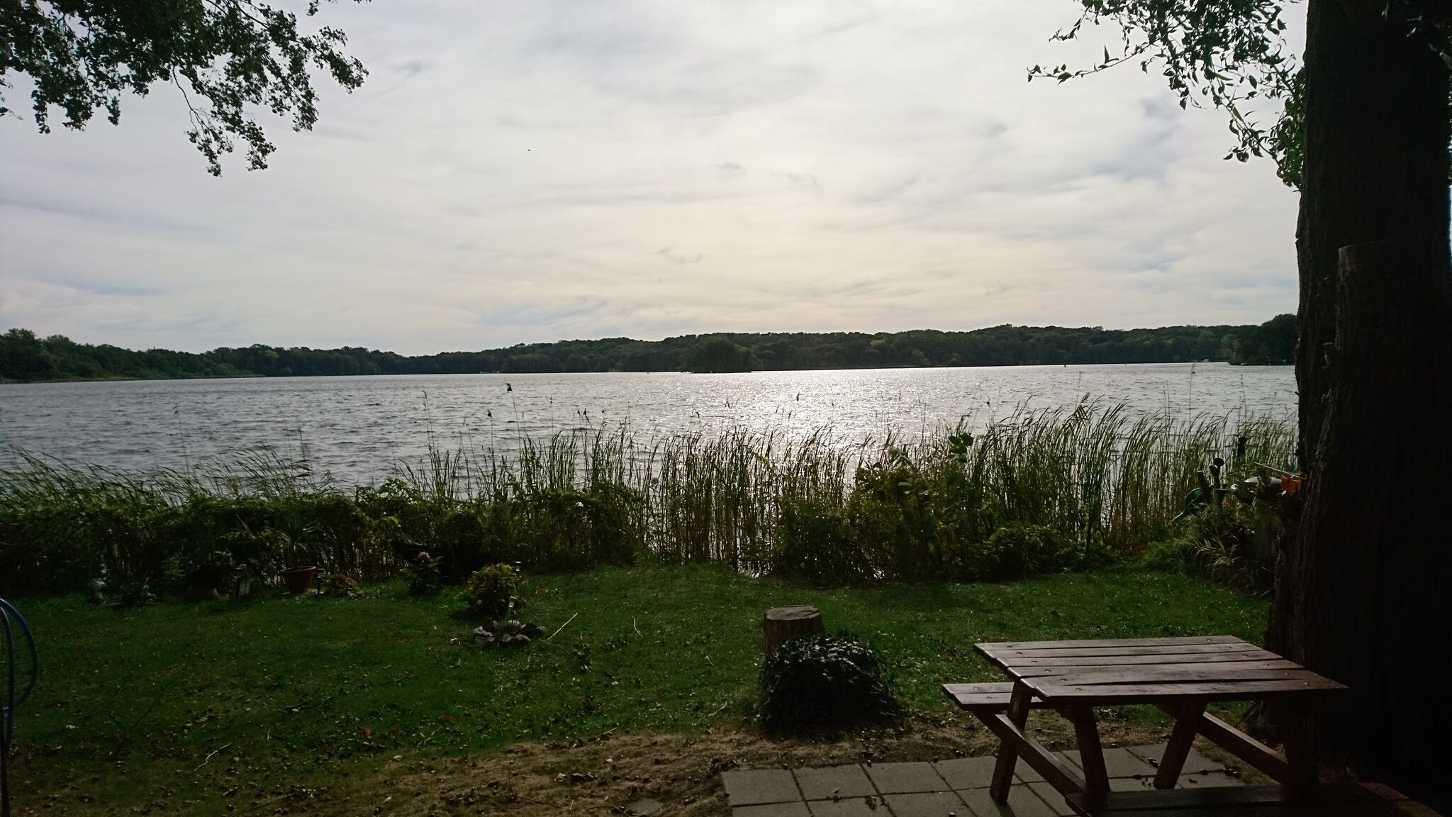 Wasserblick auf den Glindower See